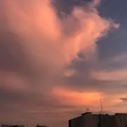 ぽんちゃんさんの画像