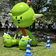 まいまいの画像