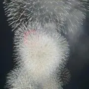 ぷよぷよ⭐️の画像
