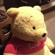 なつの画像