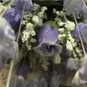 Twintyの画像
