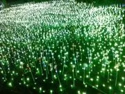 YMの画像