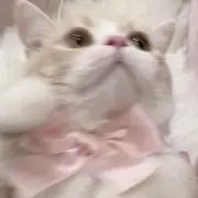 mの画像