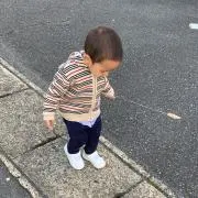 トミーの画像