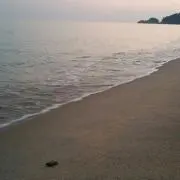 amyの画像