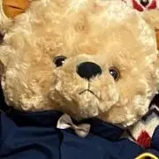 ととの画像