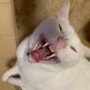 む～さん