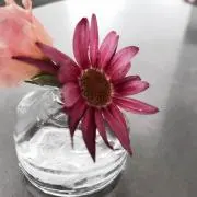 Chaka