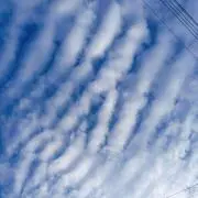 クロワッサンの画像