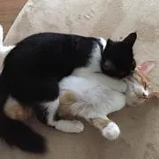 yuukの画像