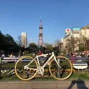 ぎんなんそう
