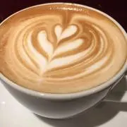 マツモの画像