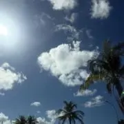 MMの画像
