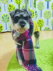 トラチャン商事♡の画像