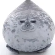 イッシ―の画像