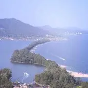 タカ