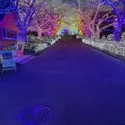 Zの画像