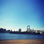 セール