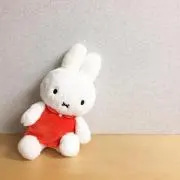 ぴよこの画像