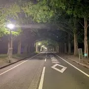 真田
