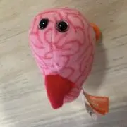朱音の画像