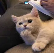 sayakaの画像