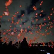 Urlsuの画像