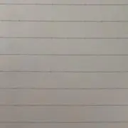 たぬき