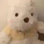 P＊超メル市お値下げします＊の画像