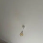 otの画像