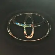 ざわわの画像