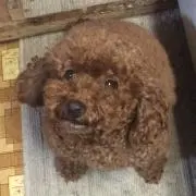 ゆうじ