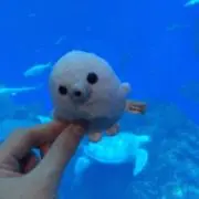 ぽん酢