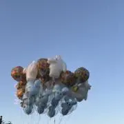 たんたんの画像
