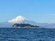 Sacoの画像