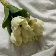 a uの画像