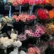 花の画像