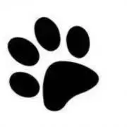 くろねこの画像