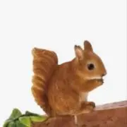 koの画像