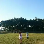 みみみん