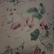 yuuの画像
