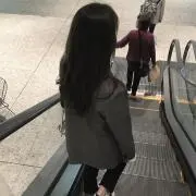 この画像