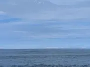 だりく