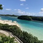 yの画像