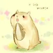 ぬか