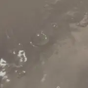 すーの画像