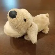 よっちゃんの画像
