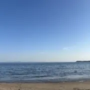 ぎゃうの画像