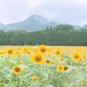 ネプチューンの画像