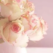 xyzの画像